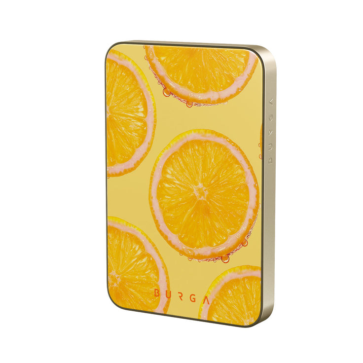 BP_02MS_MagPbank5K-GO