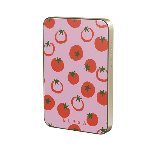 CM_09MS_MagPbank5K-GO