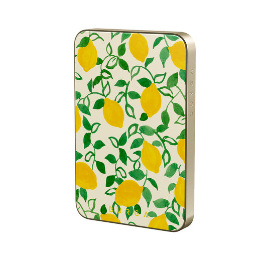 CM_15MS_MagPbank5K-GO