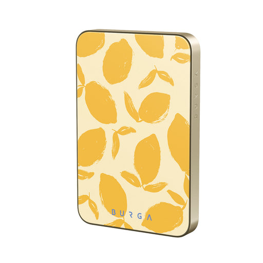 CP_02MS_MagPbank5K-GO