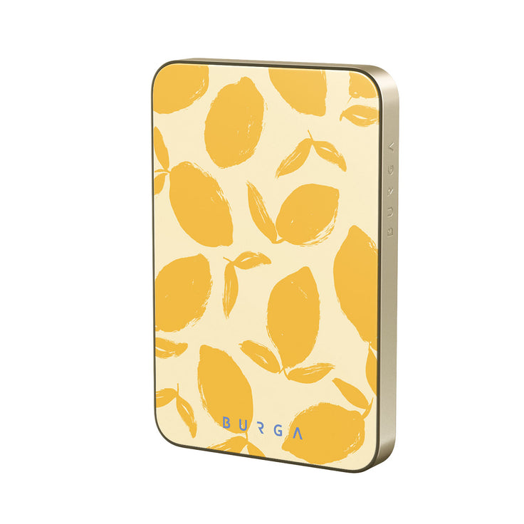 CP_02MS_MagPbank5K-GO