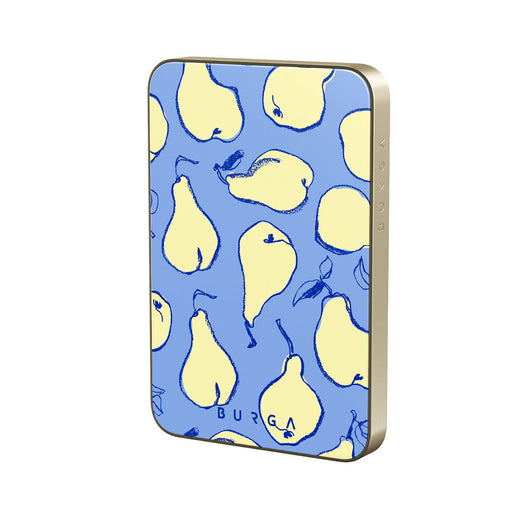 CP_18MS_MagPbank5K-GO