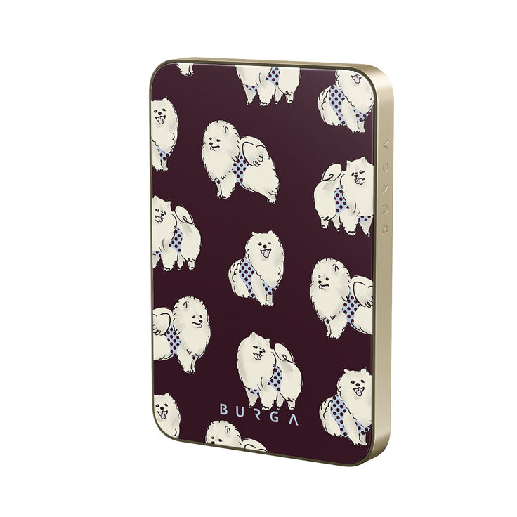 DO_04MS_MagPbank5K-GO