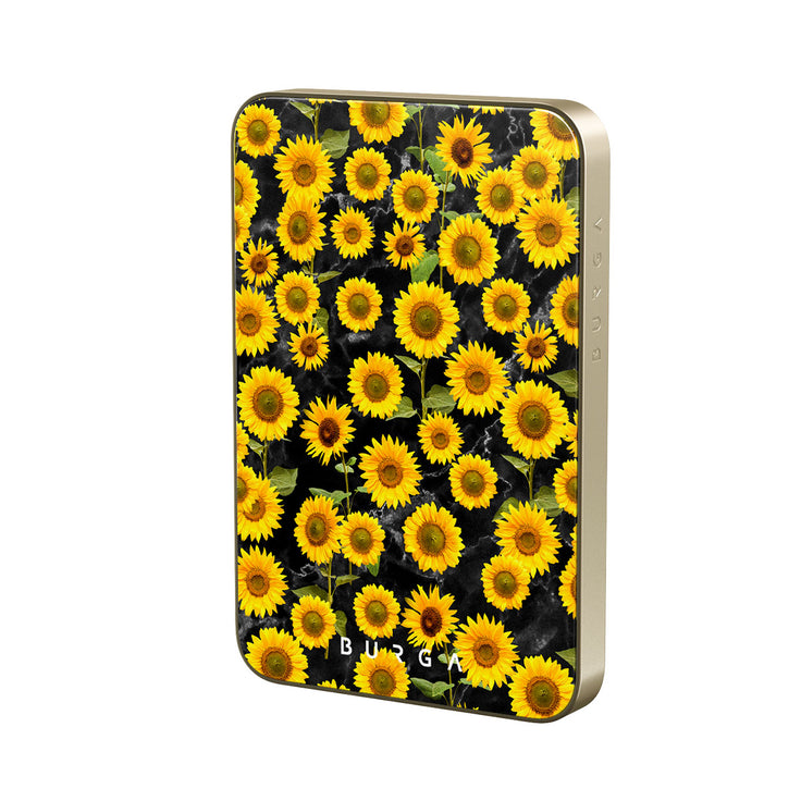 FA_29MS_MagPbank5K-GO