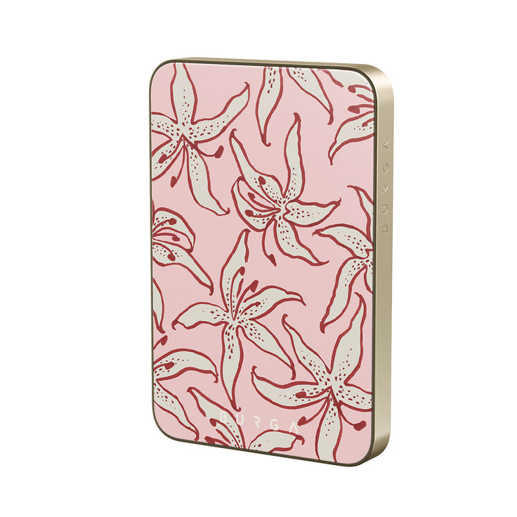 JL_05MS_MagPbank5K-GO