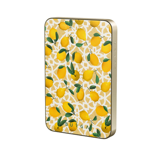 LL_01MS_MagPbank5K-GO