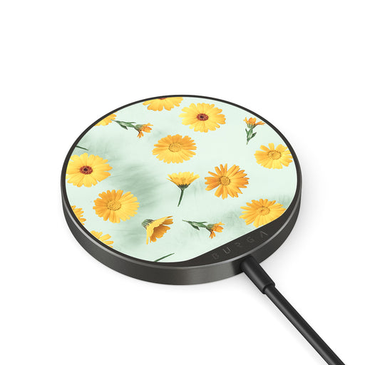 RL_02MC_MAGNETIC_WRLS_CHRG-GUNMETAL