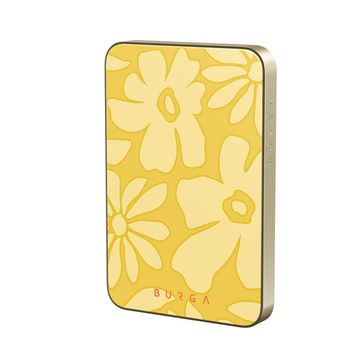 RS_19MS_MagPbank5K-GO