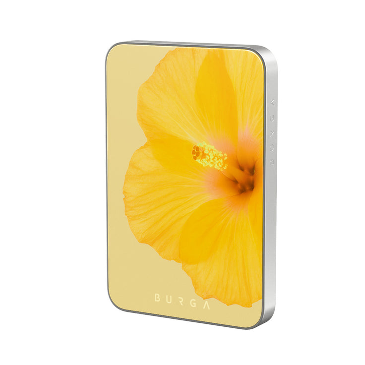 RS_20MS_MagPbank5K-SI