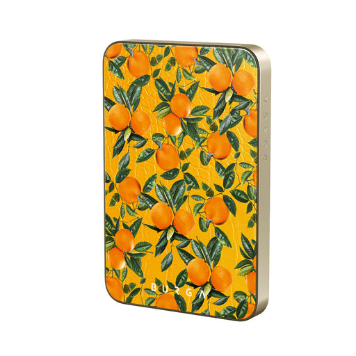 SP_05MS_MagPbank5K-GO